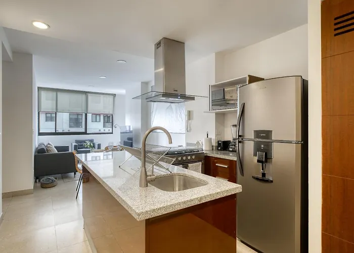 Polanco Boutique Living - Junto A Embajada Apartamento
